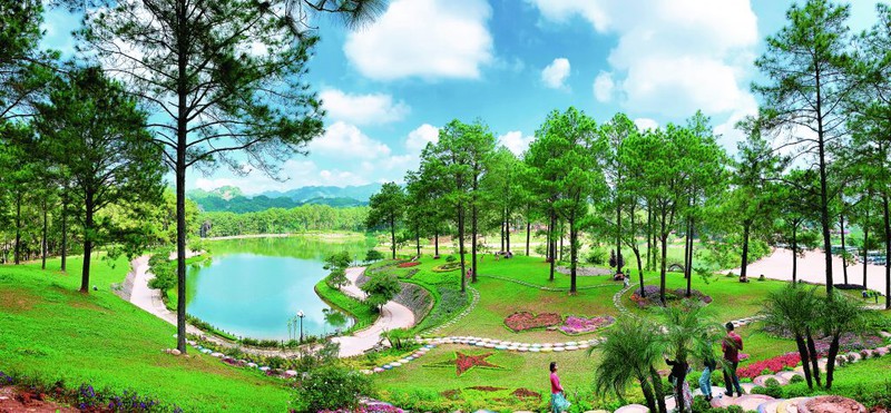 Rừng Thông Bản Áng – thiên đường du lịch Mộc Châu